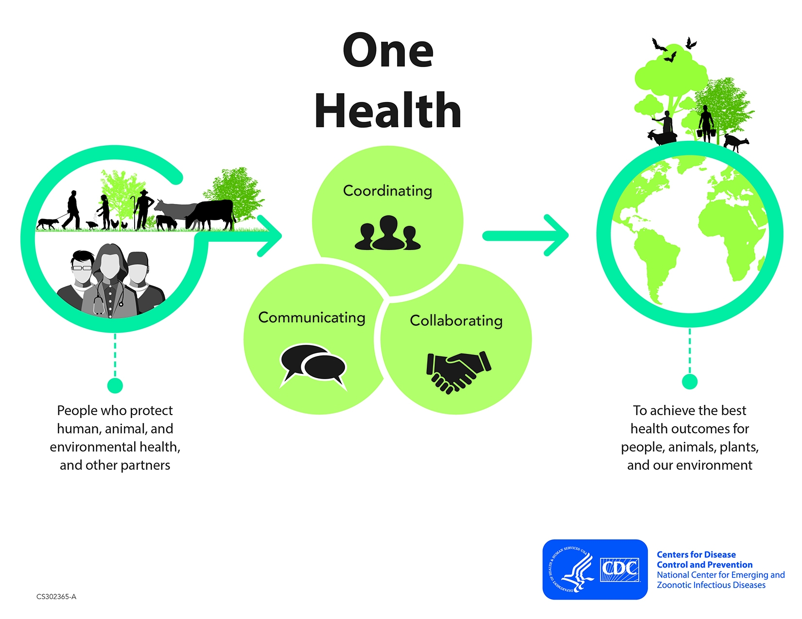 T2-ONE-HEALTH-MALAWI-ACTIVITIES-Summary-List-CDC-01