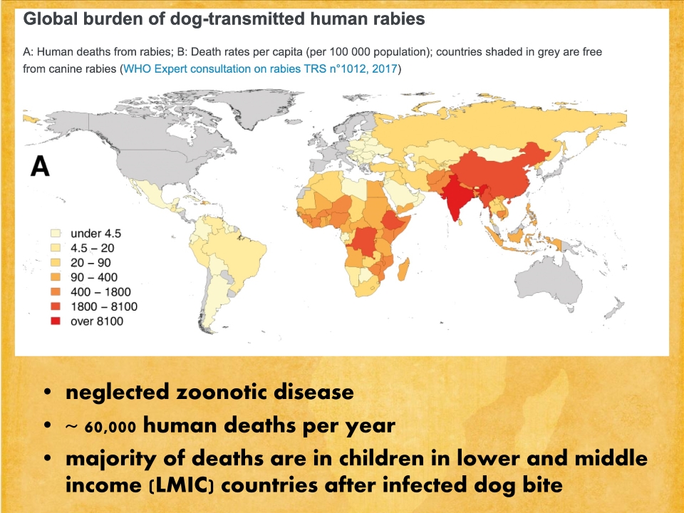 T3-LUANAR-One-Health-Malawi-Stray-Dogs-in-Rabies-Epidemiology-21.12.2022-Catherine-Wood_p_003