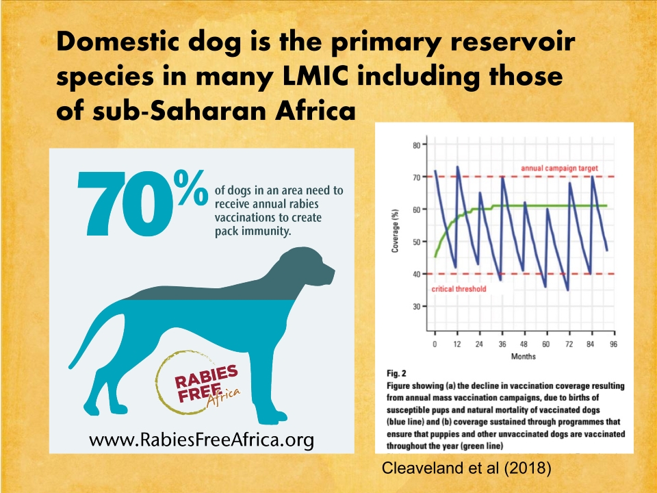 T3-LUANAR-One-Health-Malawi-Stray-Dogs-in-Rabies-Epidemiology-21.12.2022-Catherine-Wood_p_004