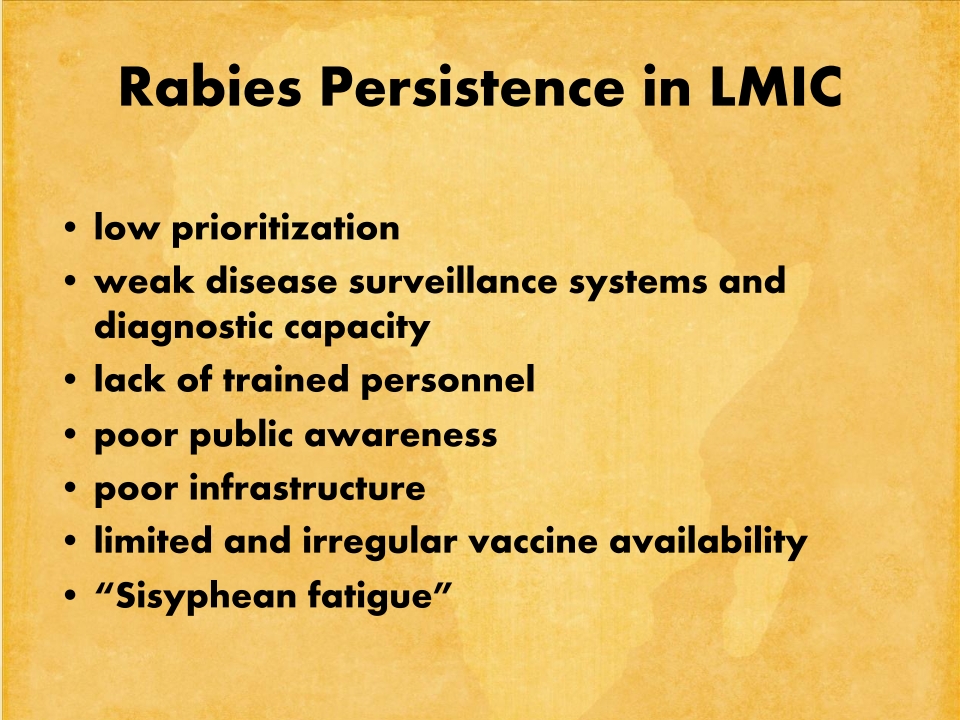 T3-LUANAR-One-Health-Malawi-Stray-Dogs-in-Rabies-Epidemiology-21.12.2022-Catherine-Wood_p_006