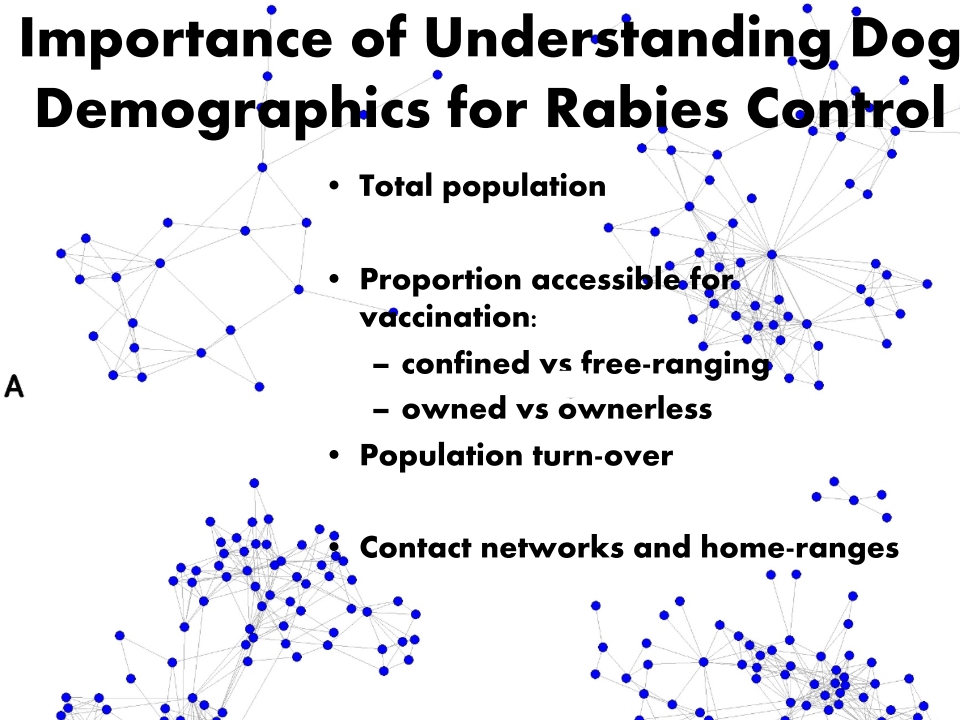 T3-LUANAR-One-Health-Malawi-Stray-Dogs-in-Rabies-Epidemiology-21.12.2022-Catherine-Wood_p_008