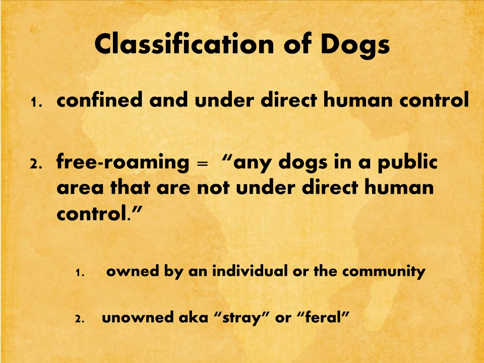 T3-LUANAR-One-Health-Malawi-Stray-Dogs-in-Rabies-Epidemiology-21.12.2022-Catherine-Wood_p_009