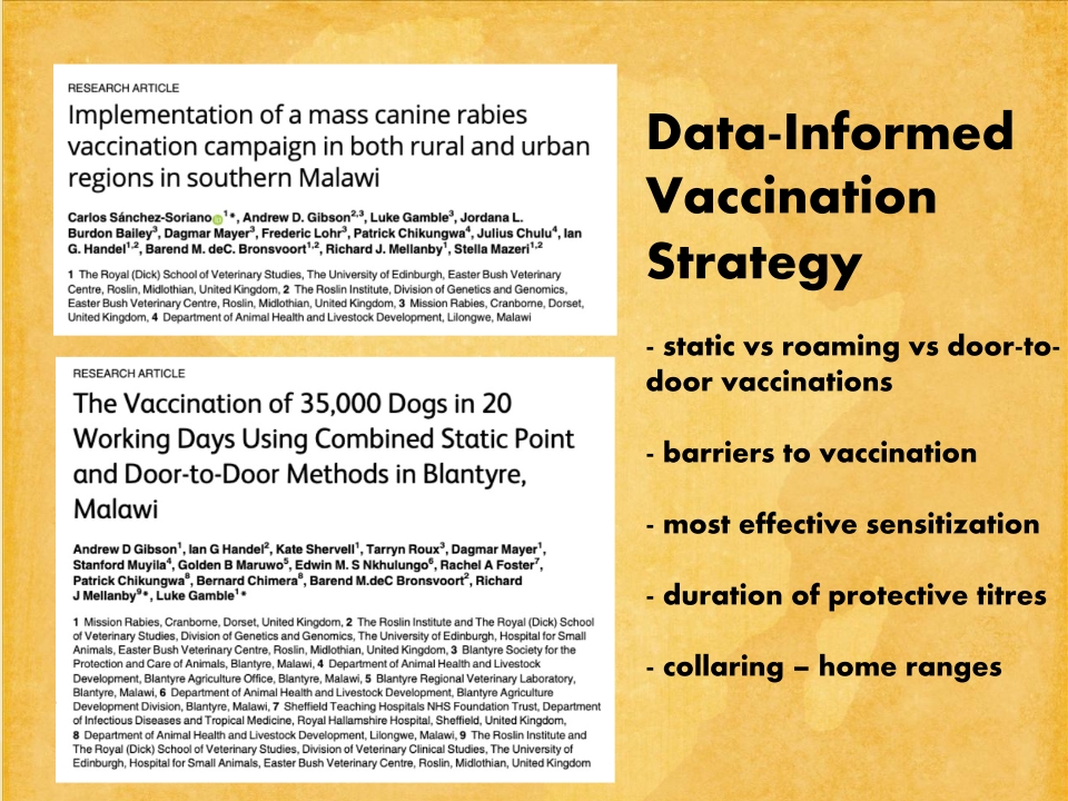 T3-LUANAR-One-Health-Malawi-Stray-Dogs-in-Rabies-Epidemiology-21.12.2022-Catherine-Wood_p_023