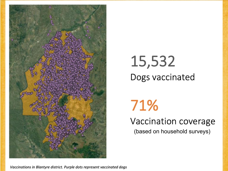 T3-LUANAR-One-Health-Malawi-Stray-Dogs-in-Rabies-Epidemiology-21.12.2022-Catherine-Wood_p_025