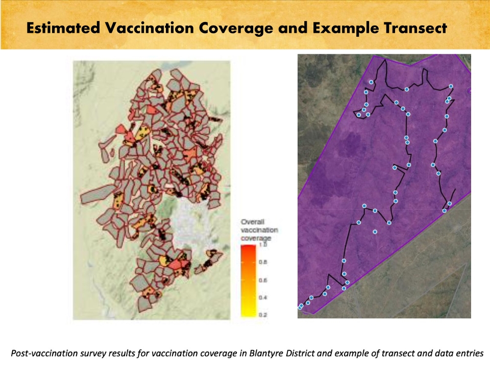 T3-LUANAR-One-Health-Malawi-Stray-Dogs-in-Rabies-Epidemiology-21.12.2022-Catherine-Wood_p_026