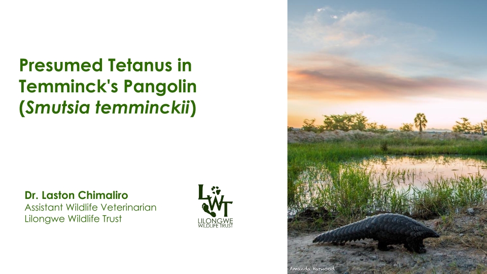 T3-LUANAR-Presumed-Tetanus-in-Pangolins-02092023-Laston-Chimaliro_p_01