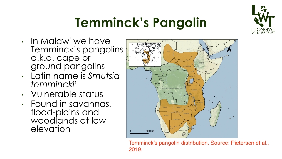 T3-LUANAR-Presumed-Tetanus-in-Pangolins-02092023-Laston-Chimaliro_p_03