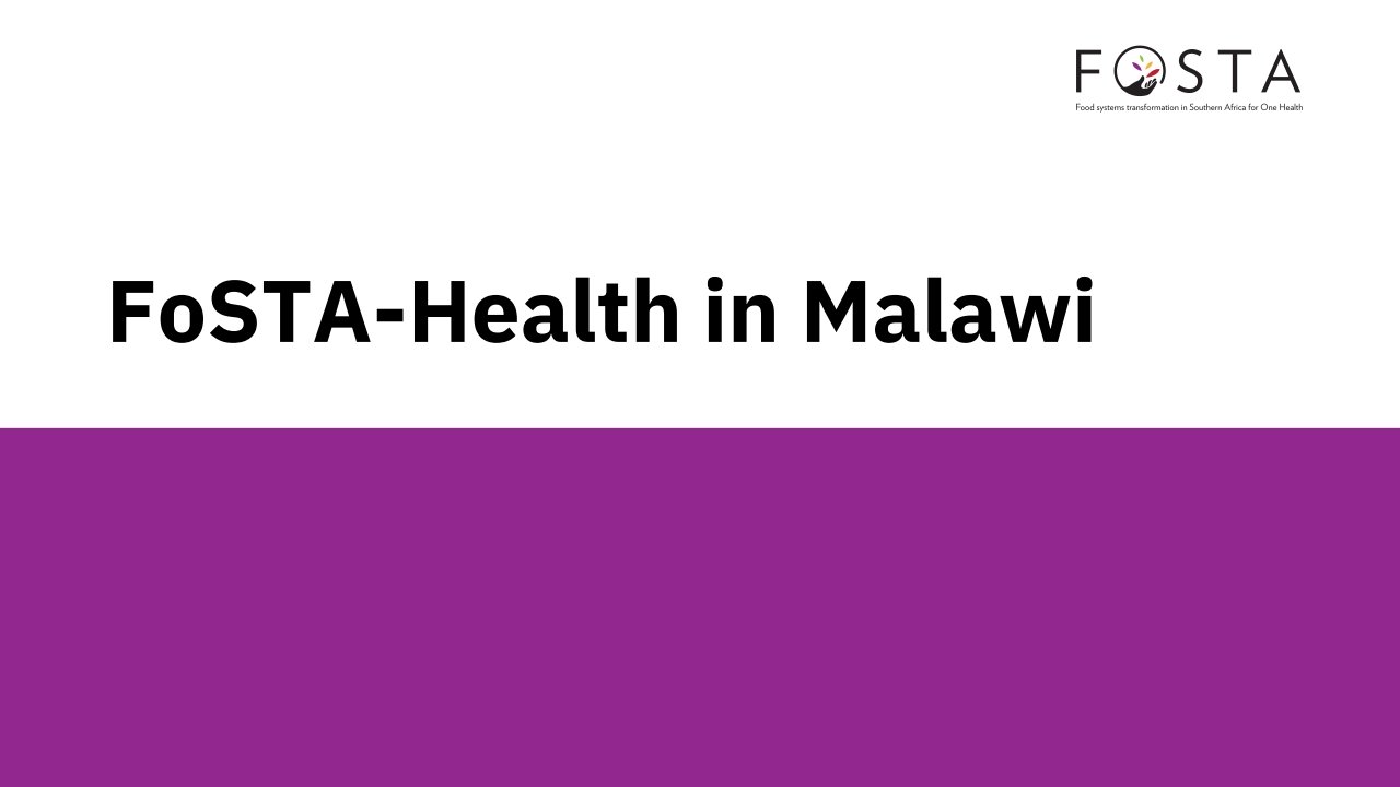 T3-ONE-HEALTH-MALAWI-ACTIVITY-Dialogue-FoSTA-10-2023_x_p_i09